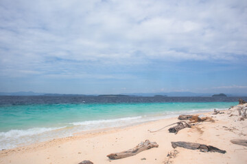Tropical Beach with Driftwood on Shoreline