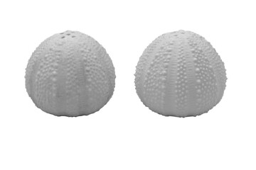 Set with salt and pepper shakers