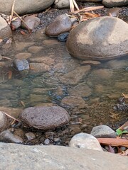 stones in the water