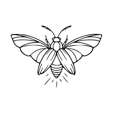 black and white firefly drawing clip art preview