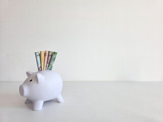 White piggy bank with Romanian Lei bank notes against a white background 