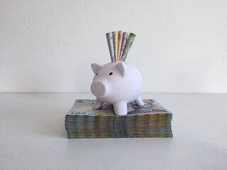 White piggy bank sitting on a stack of romanian money with bank notes poking out of the top