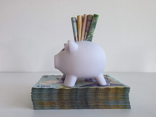 White piggy bank sitting on a stack of romanian money with bank notes poking out of the top