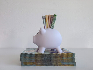 White piggy bank sitting on a stack of romanian money with bank notes poking out of the top