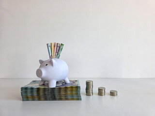 White piggy bank sitting on a stack of romanian money with bank notes poking out of the top