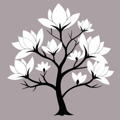 Obraz premium Stylized black tree with white magnolia flowers isolated on white background