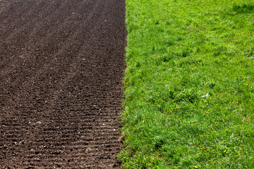 Contrast Between Cultivated Field and Natural Meadow in Early Spring