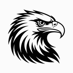 Fototapeta premium eagle head vector
