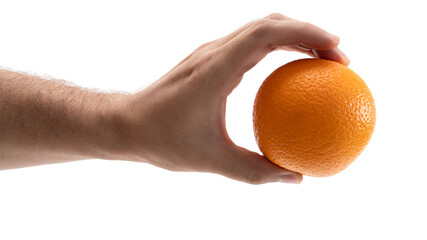 Hand with orange fruit on white