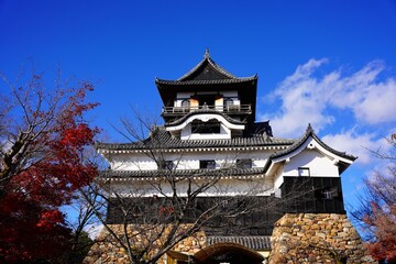 国宝　紅葉と犬山城　天守　