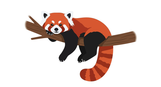 Red panda illustration. Adorable cartoon red panda resting on a tree branch with detailed fur pattern, vibrant colors, and playful expression. Wildlife and nature concept. Vector art.