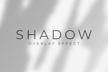 Shadow overlay effect. Transparent soft light and shadows from plant branches, leaves and foliage. Mockup of abstract transparent shadow overlay effect and natural lightning scene. Vector