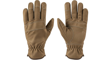 Isolated Pair of tan work gloves