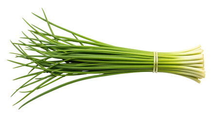 Isolated Bunch of Chives Fresh Herb