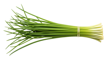 Isolated Bunch of Chives Fresh Herb