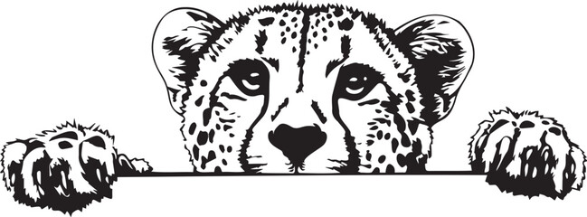 Obraz premium peeking cheetah with paws