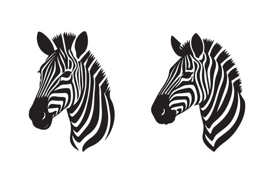 Zebra head icon silhouette with white background