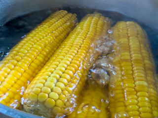 Peeled corn cobs boiling in rapidly bubbling water in a metal pot. A popular and simple summer snack.