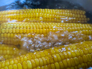 Close-up of yellow corn cobs boiling in bubbling hot water. Detailed view of cooking process, perfect for food or kitchen themes.
