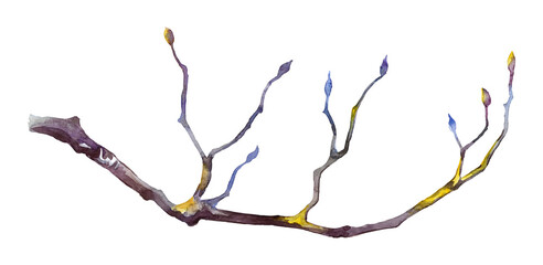 Watercolor hand-painted illustration of a magnolia branch with yellow and blue colors on a transparent background.
