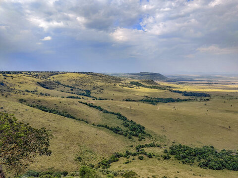 View of sprawling golden savannah kissed by the sun, dotted with dark green clusters of trees under a cloudy sky, Narok, Narok, Kenya.
