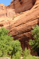 Surrounding Terrain, Cliffs, and Valley Canyon De Chelly Arizona