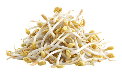 A pile of white bean sprouts isolated on a transparent background