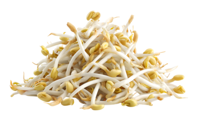 A pile of white bean sprouts isolated on a transparent background