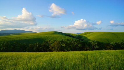 Fototapeta premium Photo of idyllic tuscan landscape with rolling green hills, blue sky and white clouds in the countryside of italy during a sunny summer day, creating a peaceful scenery