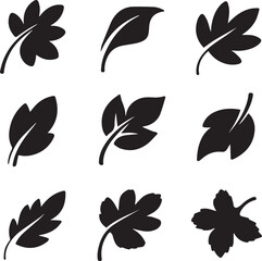Fototapeta premium A varied set of nine black leaf icons showcasing different botanical shapes and styles