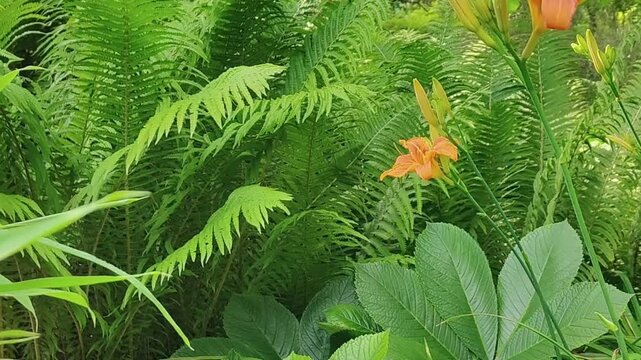 "Fresh green fern gently sways in the breeze, immersing the viewer in a peaceful, harmonious moment with nature. The soft wind caresses its delicate fronds, evoking a sense of lightness and quiet moti