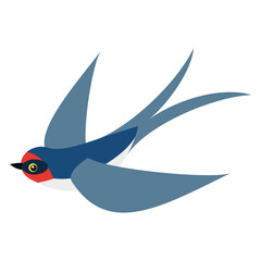 Balestruccio - uccello utile in agricoltura