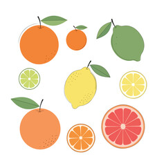 Fresh Citrus Fruits Assortment

