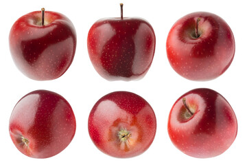 Bright red apples rich collection, whole ripe red apples with tails, different sides, studio shot, isolated on white background. Summer fresh fruits as design elements.