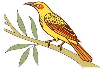 Colorful bowerbird vector art on white surface