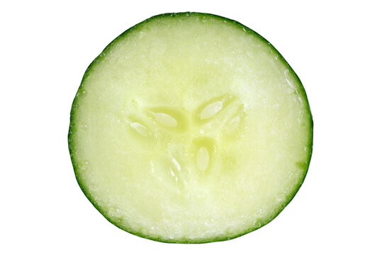 Circle of cucumber slice with water drops - real fresh photo on transparent background.