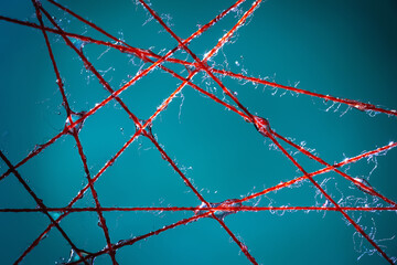 Wet Threads. Colourful abstraction of wet threads with water drops