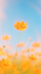 Obraz premium Vibrant flower under clear sky.