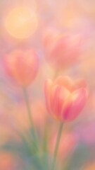Dreamy pastel tulip blossoms