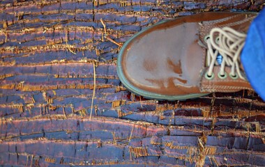 Wet safety shoes on a wooden board