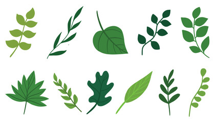 Set of different tropical and other green leaves. autumn leaves vector illustration, exotic tropical leaves on a white background. Jungle leaf and twigs wild plant collection for your design elements