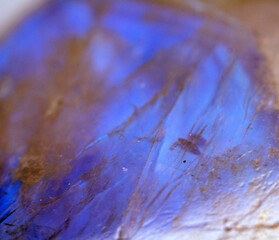 Beautiful close up of quartz crystal rock shard with reflective rainbow spiritual light