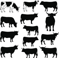 Isolated kinds of deferent cow vector art silhouette with white background.
