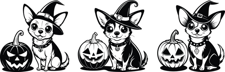 Cute Chihuahua Dogs Celebrate Halloween Wearing Witch Hats with Jack O Lantern Pumpkins Illustration in Black and White
