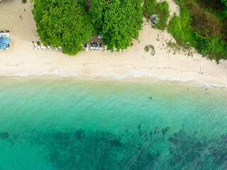 Aerial white sand sea beach with green tropical palm tree