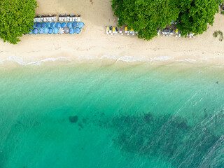 Aerial white sand sea beach with green tropical palm tree