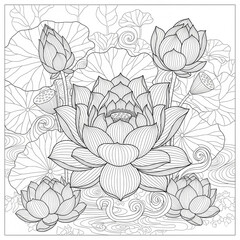Fototapeta premium Lotus flower