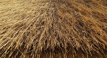 Golden Brown Thatch Roof Texture Background