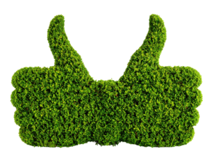 A lush green thumbs-up symbol made from foliage, representing positivity and environmental awareness.