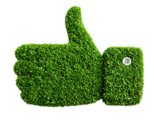 A green thumbs-up symbol made of grass, symbolizing positivity and eco-friendliness.